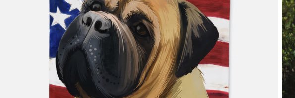 JamielovesAmerica banner