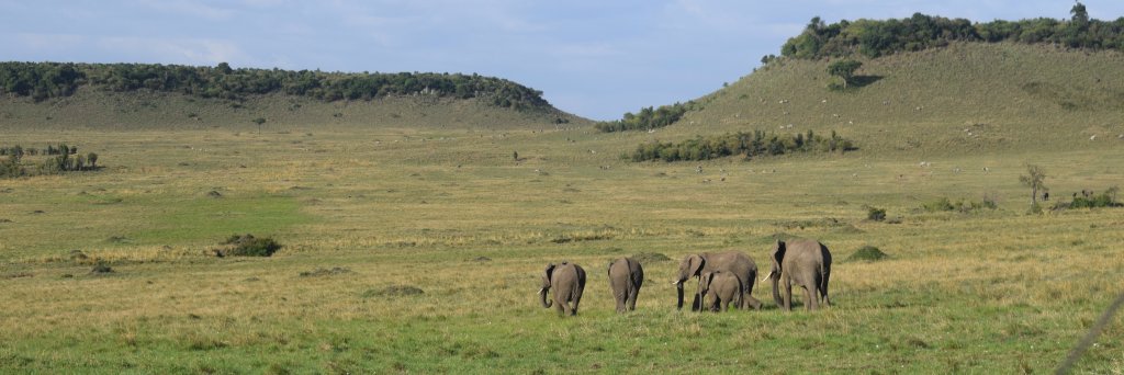 Nelson Gitonga banner