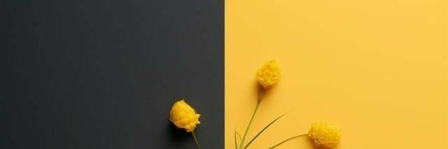 Meaw728591's profile banner image