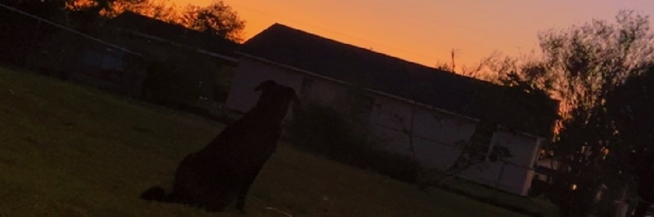 _haleyconner's profile banner image