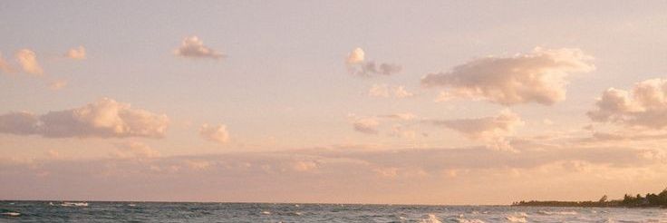 🌱 banner
