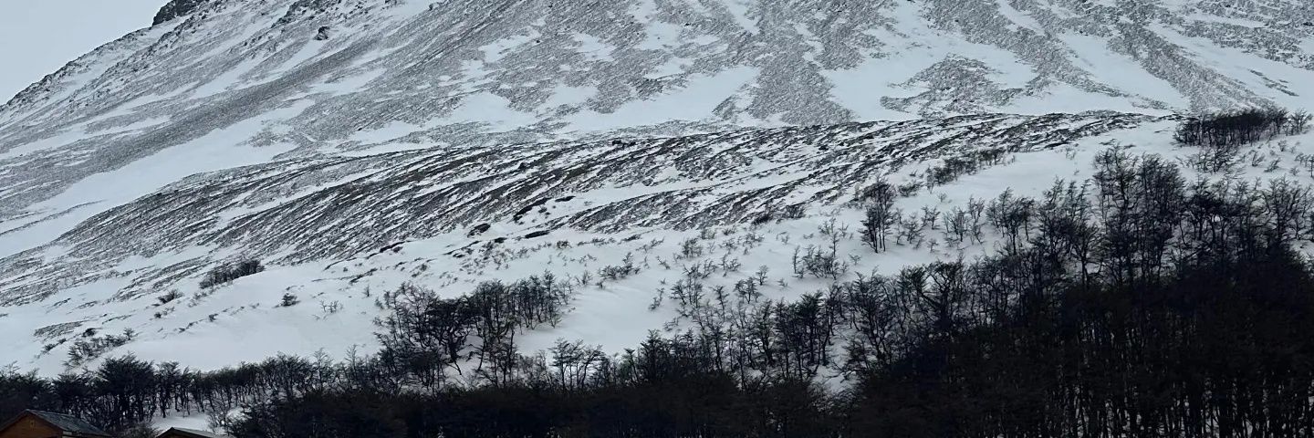 TamiMaraniello's profile banner image
