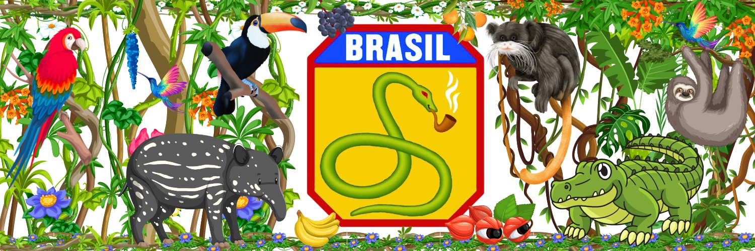 Brasil Politik 🇧🇷🙌 banner
