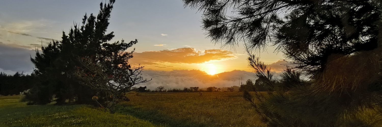 jupacha's profile banner image