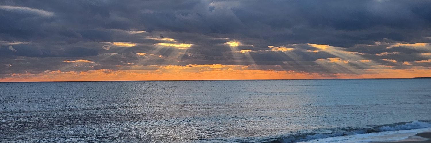 Alexandre Scheffer 🇧🇷 🇺🇸 banner