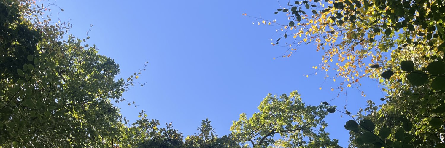 Straddler Paddy banner