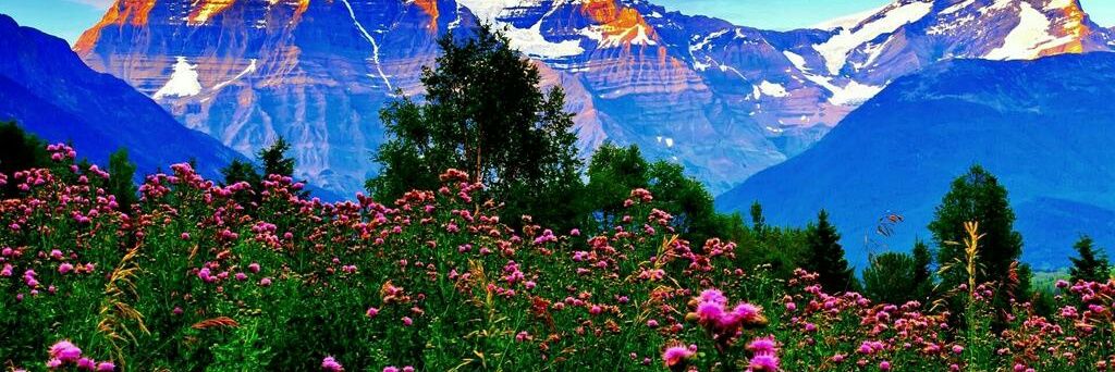 dinkar705's profile banner image