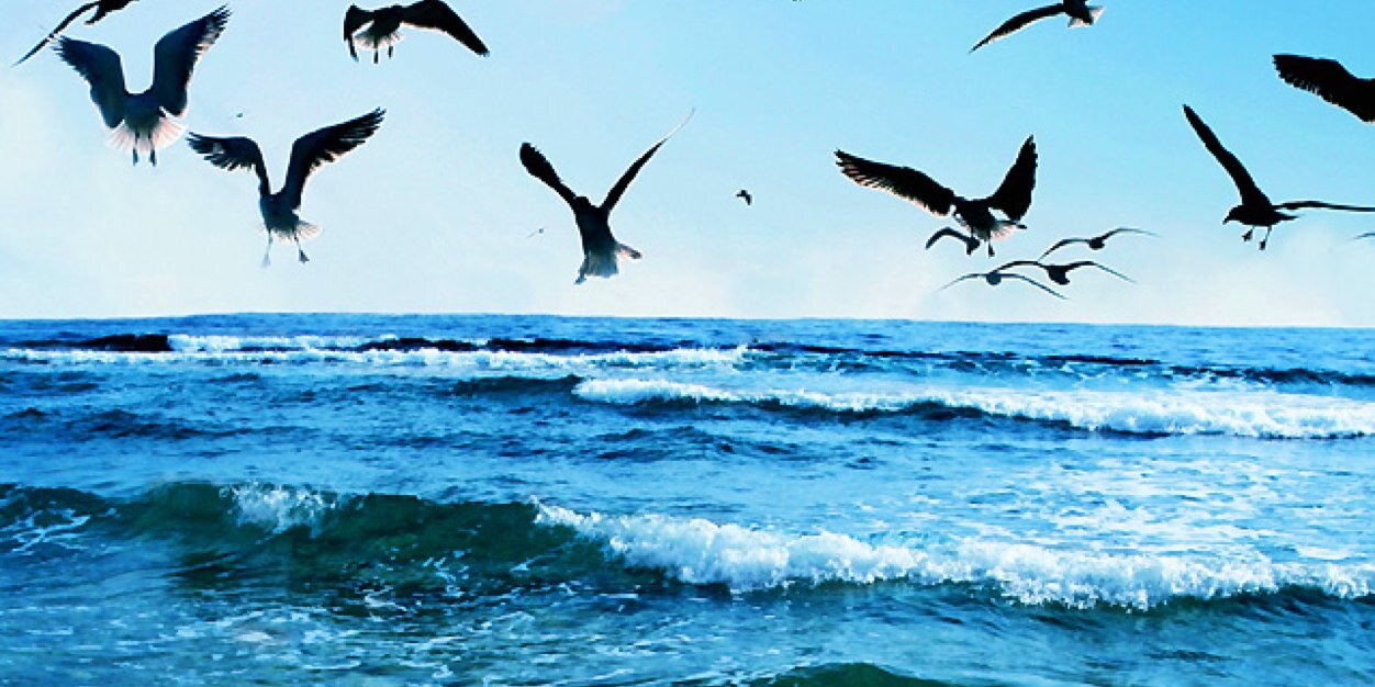 eriksson_th's profile banner image