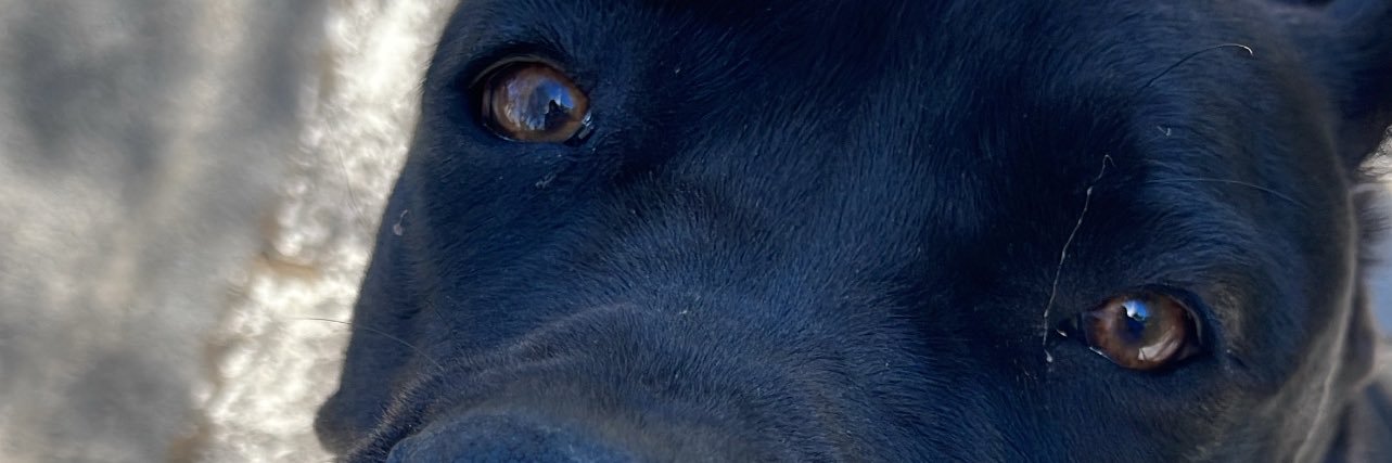 natglz99's profile banner image