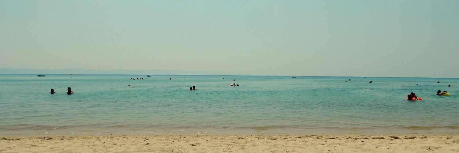 dilan baran banner