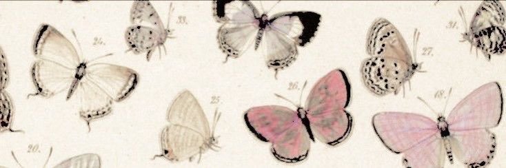 🪻furina ⚢'s banner