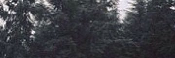 sd2l_'s profile banner image