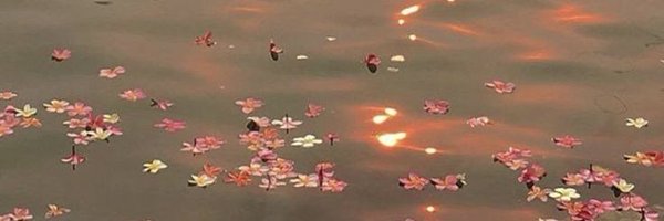 d0ksonmaru Profile Banner