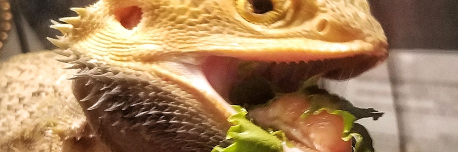 Twitter banner for @reptiles