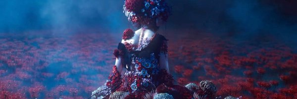 349761 Profile Banner