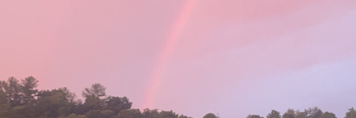 FemboyVigil's profile banner image