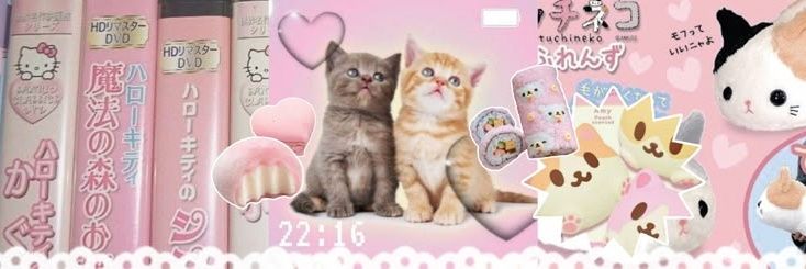 liz 🧁⚝ /ᐠ ∩˃ ᵕ ˂∩ ﾏ ྀི TOGETHER OUT NOW𑁍ࠬܓ's banner
