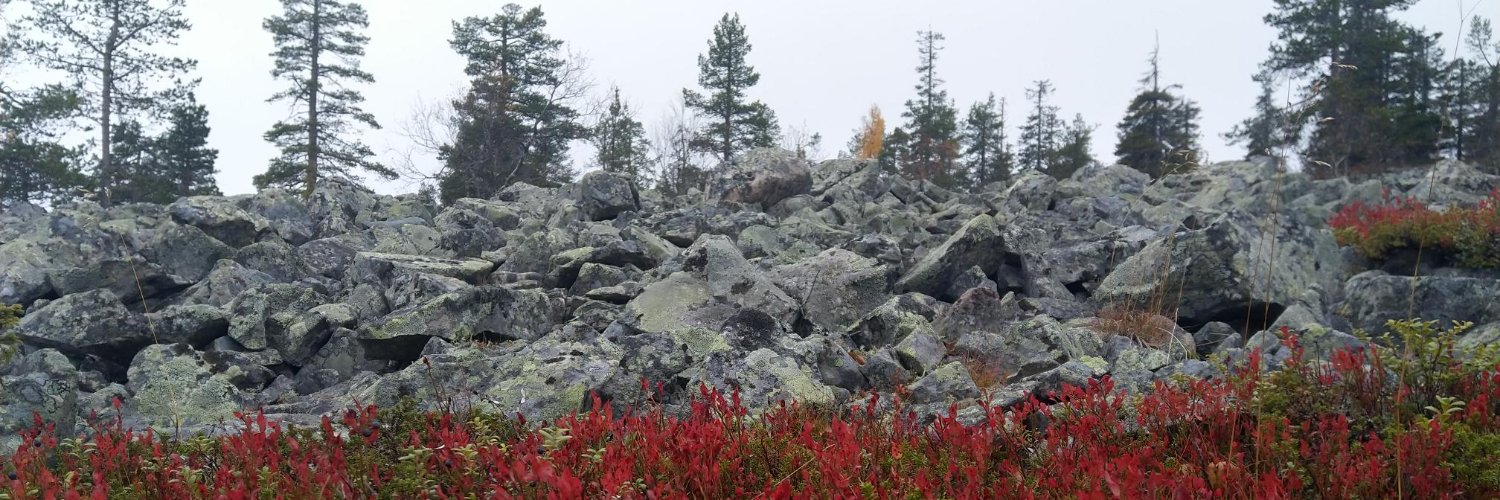 ristojurva's profile banner image