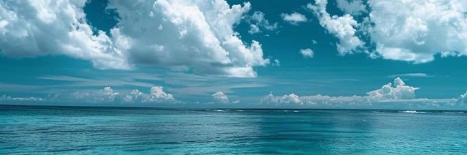 مینالیزا banner