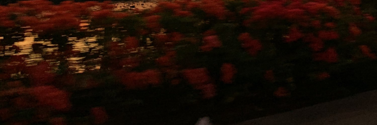 li‎ ⋆𐙚₊˚ banner