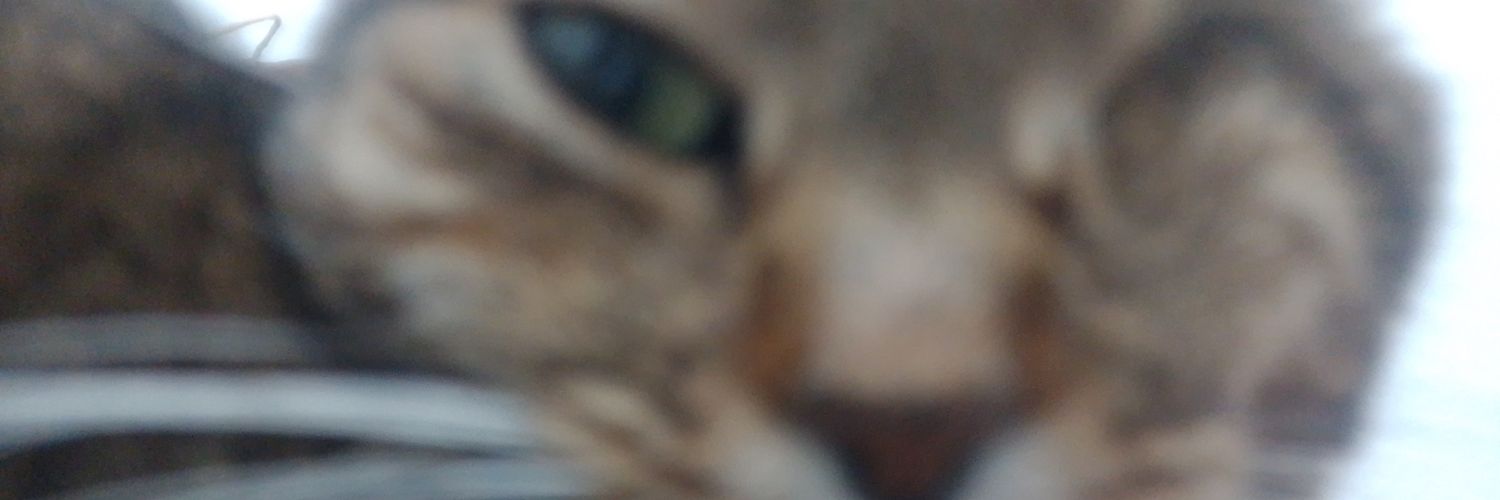 annurbyy's profile banner image
