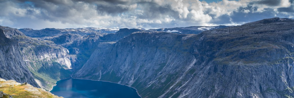 emilyinthewild's profile banner image