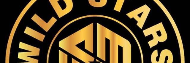 Wild Stars Music banner