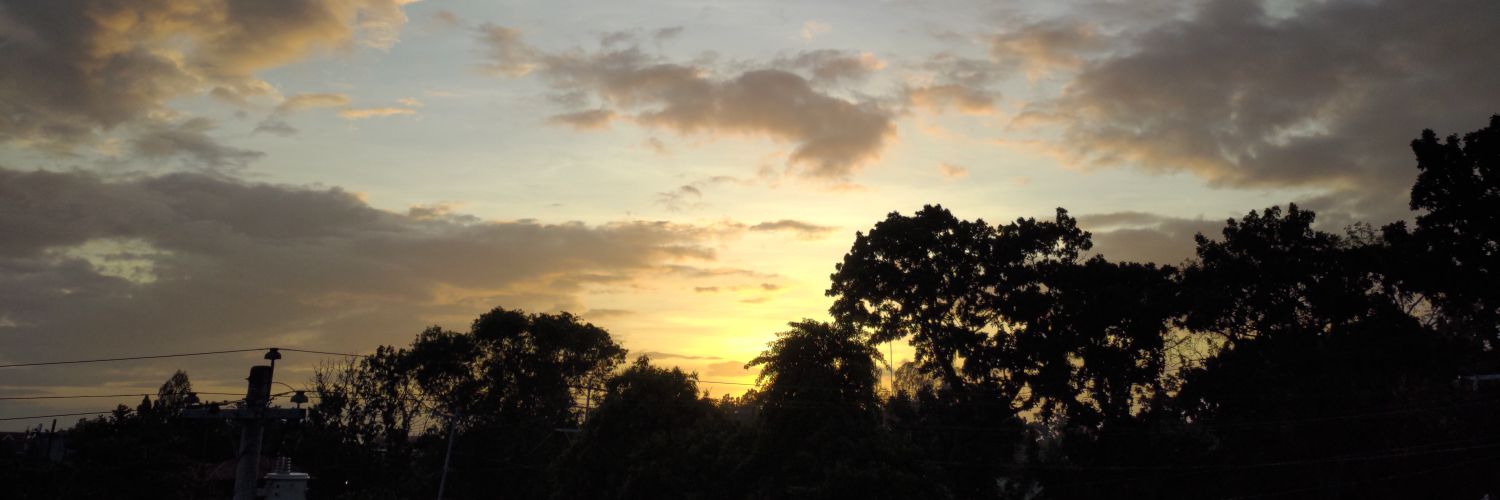 wllrt15's profile banner image