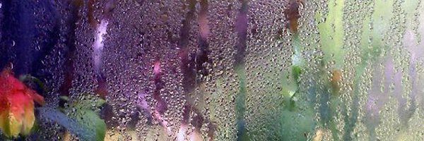 NotUrSkinny Profile Banner