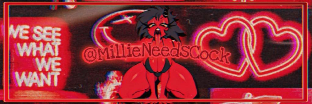 Millie & Co banner