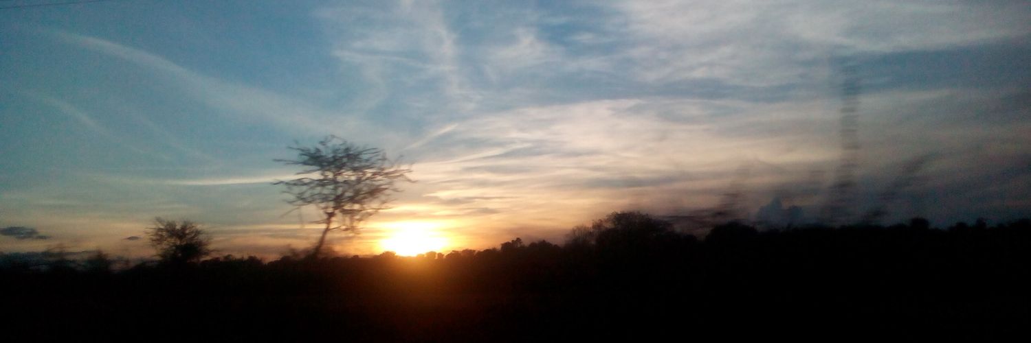 LBob0's profile banner image