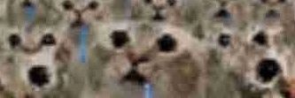FerdandoIb59438's profile banner image