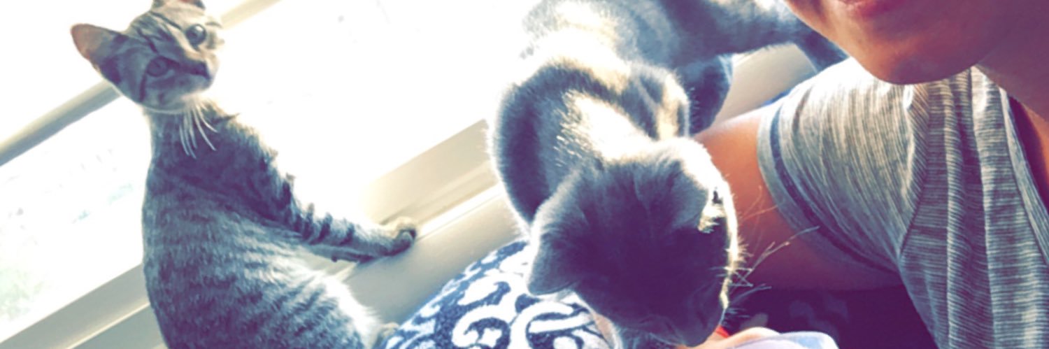 SchonMB's profile banner image