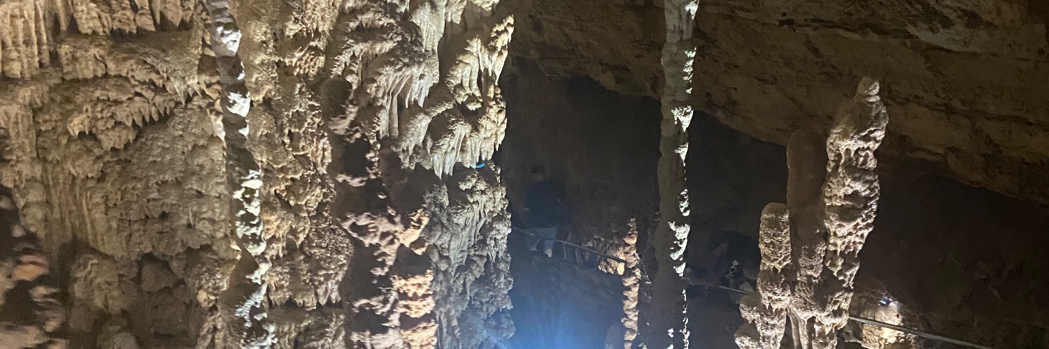 Just a normal person 🐊 banner