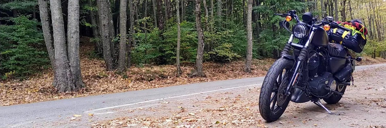 narfss's profile banner image