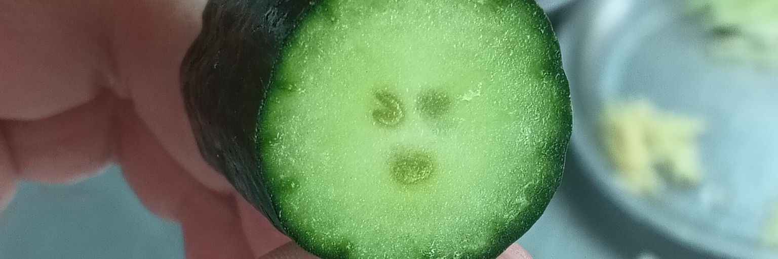 我想放假 banner