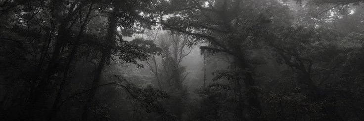 Laruuu₊⋅ ˚✮ banner