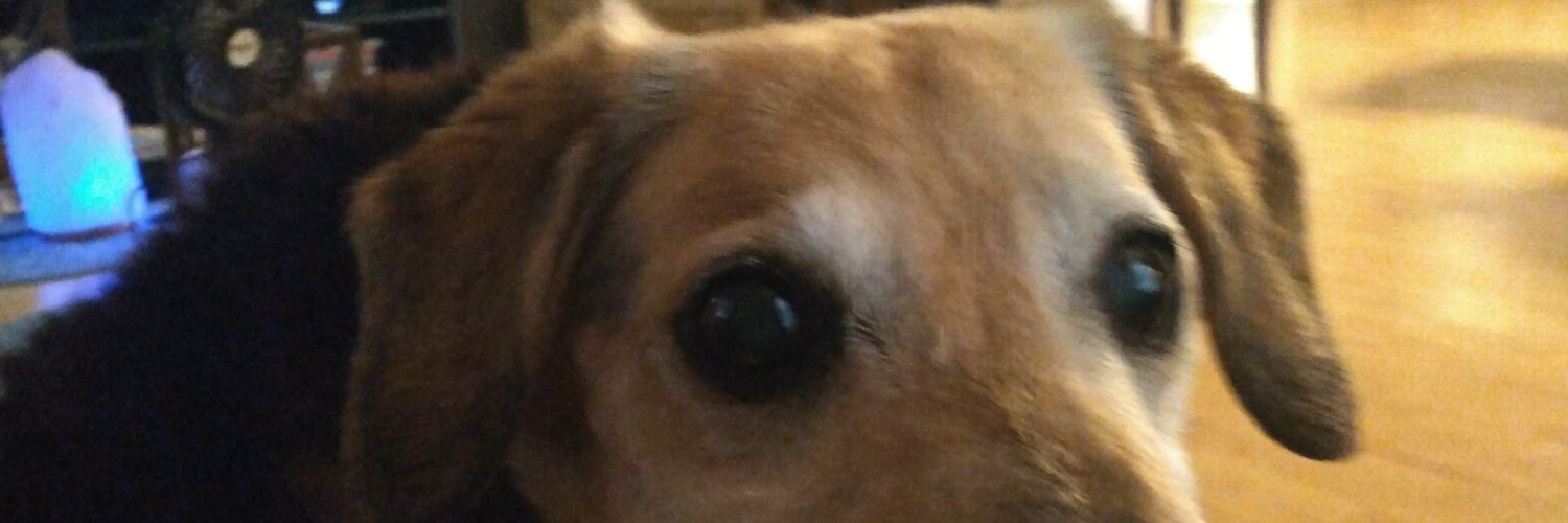 AdamJ79291's profile banner image