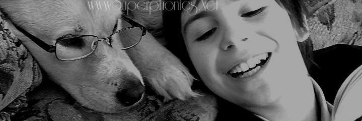 Tracy Sherwood banner