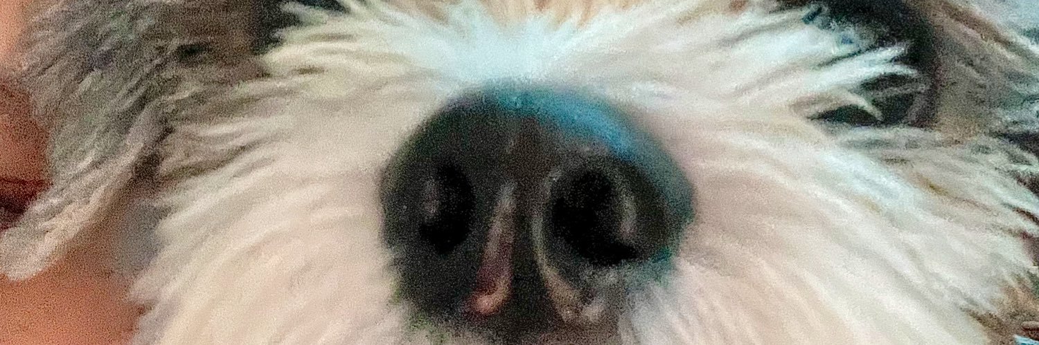 zhackreyogenize's profile banner image