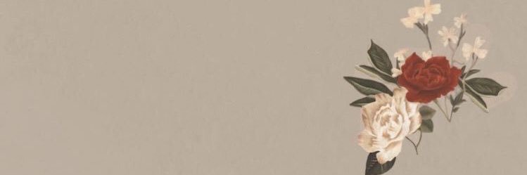 loliews's profile banner image