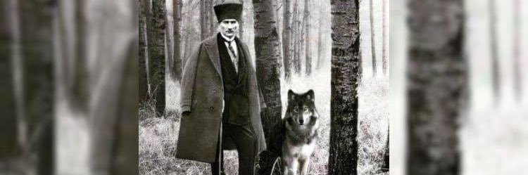ENGINTURGUT1907's profile banner image