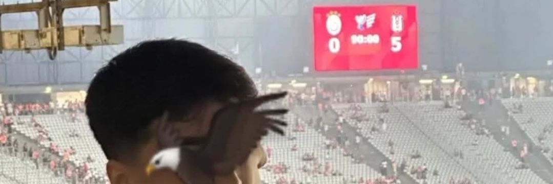 Muhammedjk0's profile banner image