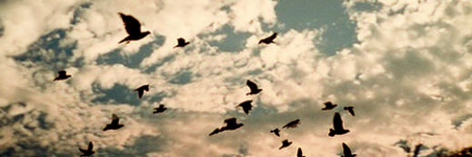judith_happened's profile banner image