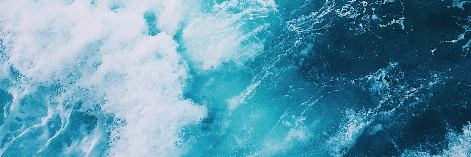 💧Tiny Ocean | SUI banner