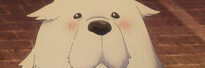 🅱️ominik banner