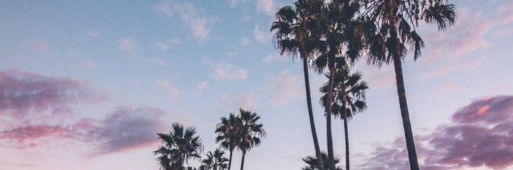 livbari's profile banner image
