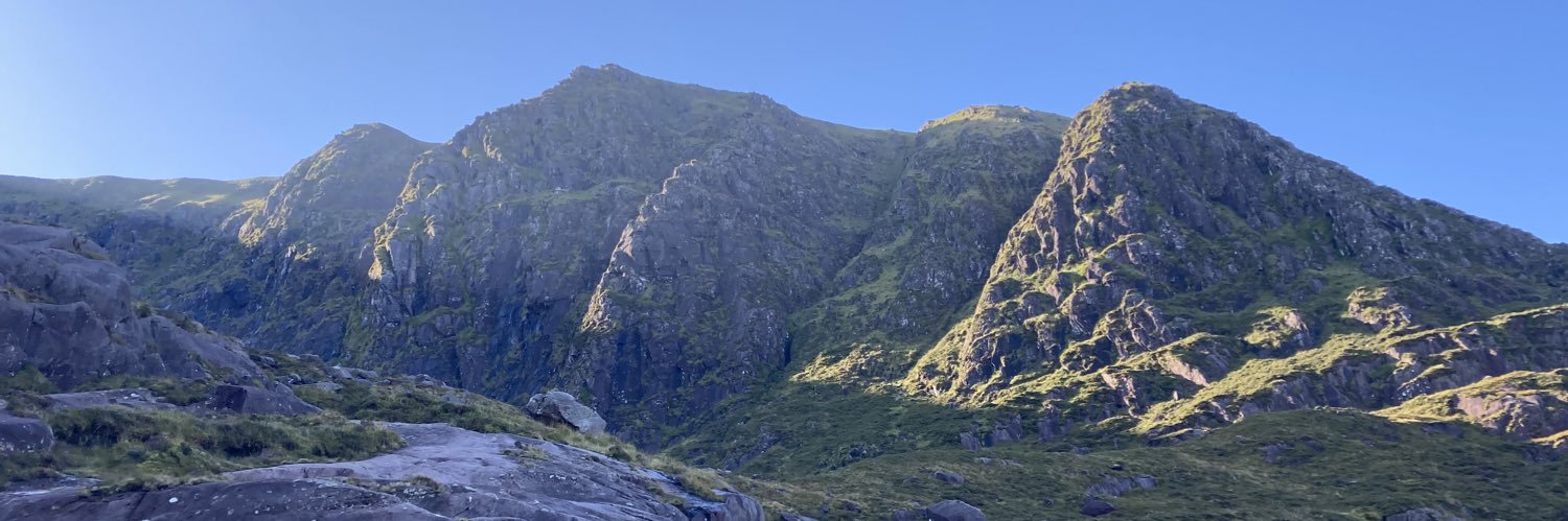 Gabrielle Davidson banner