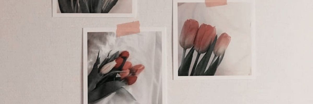 fcirytrail's profile banner image