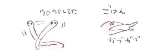 うお banner